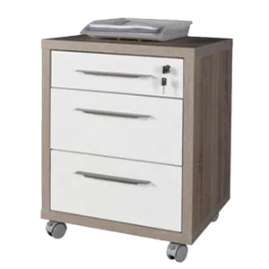 CASSETTIERA 3 CASSETTI 45X48,5 ROVERE BI