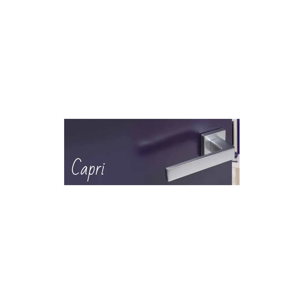 MANIGLIA SERIE CAPRI CON ROSETTA CROMOSATINATA Modello maniglia: R8Y
