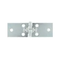 Cerniere strette ad ala lunga in ferro zincato 2pz. Misura (mm x mm): 25 x 80 mm.