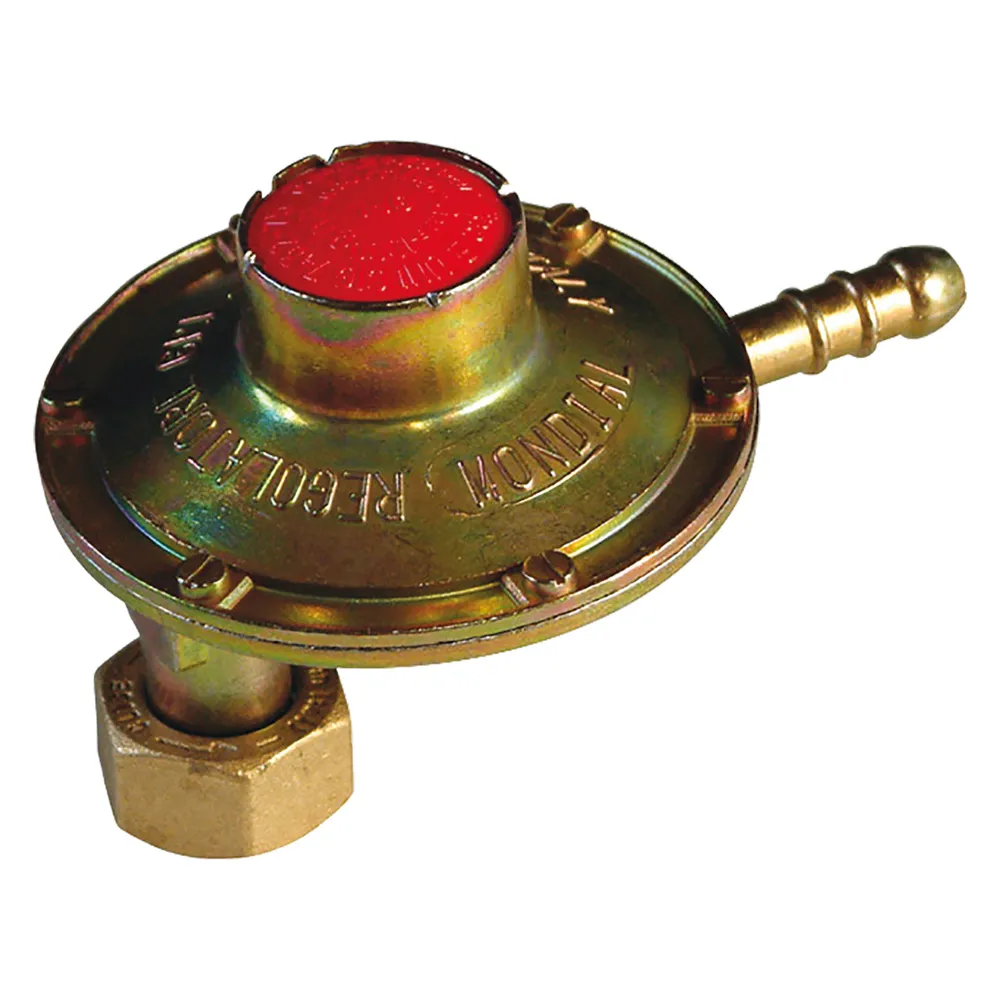 REGOLATORE GPL VERTICALE BASSA PRESSIONE 1 Kg/h REGOLATORE GPL VERTICALE BASSA PRESSIONE 1 Kg/h