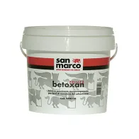 BETOXAN PRIMER 2 LT