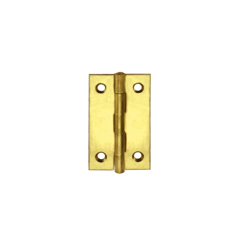 Brass plated iron hinges for chests