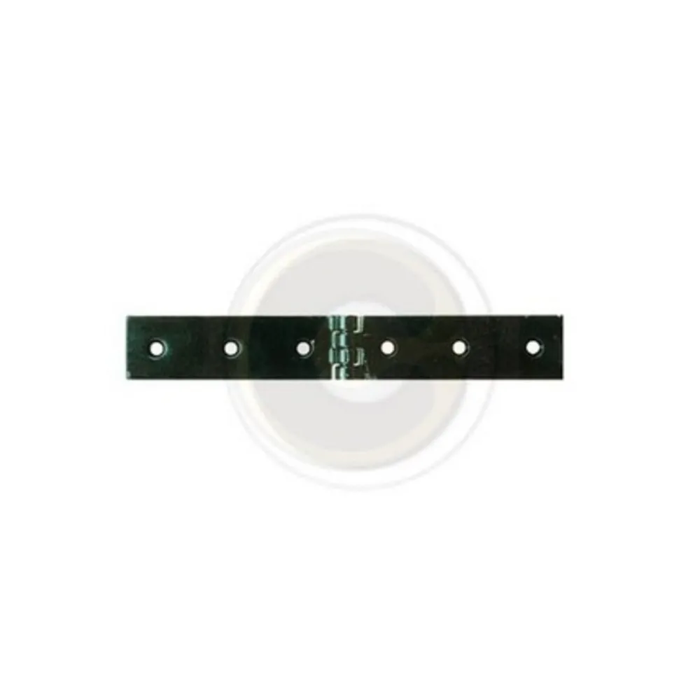 CERNIERA A LIBRETTO ACCIAIO P/CASSE 160 X 30 MM** (12