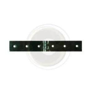 CERNIERA A LIBRETTO ACCIAIO P/CASSE 160 X 30 MM** (12