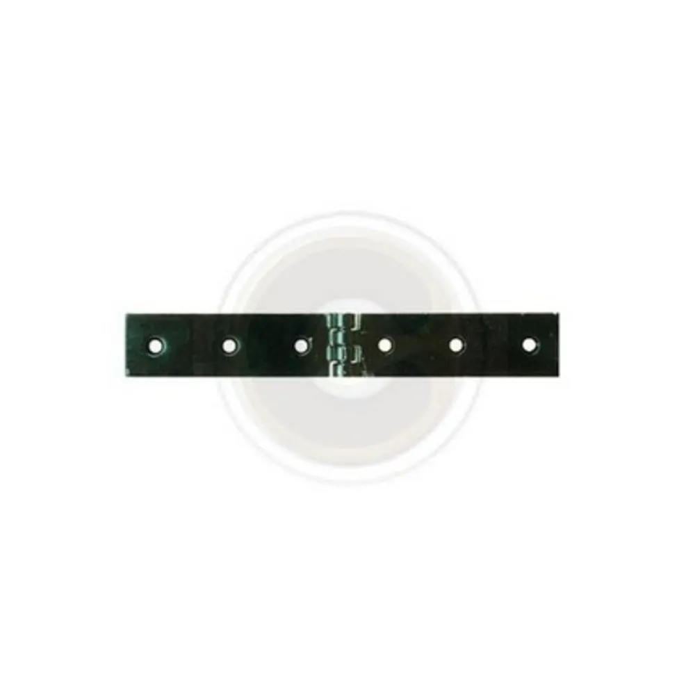 CERNIERA A LIBRETTO ACCIAIO P/CASSE 240 X 30 MM* (12