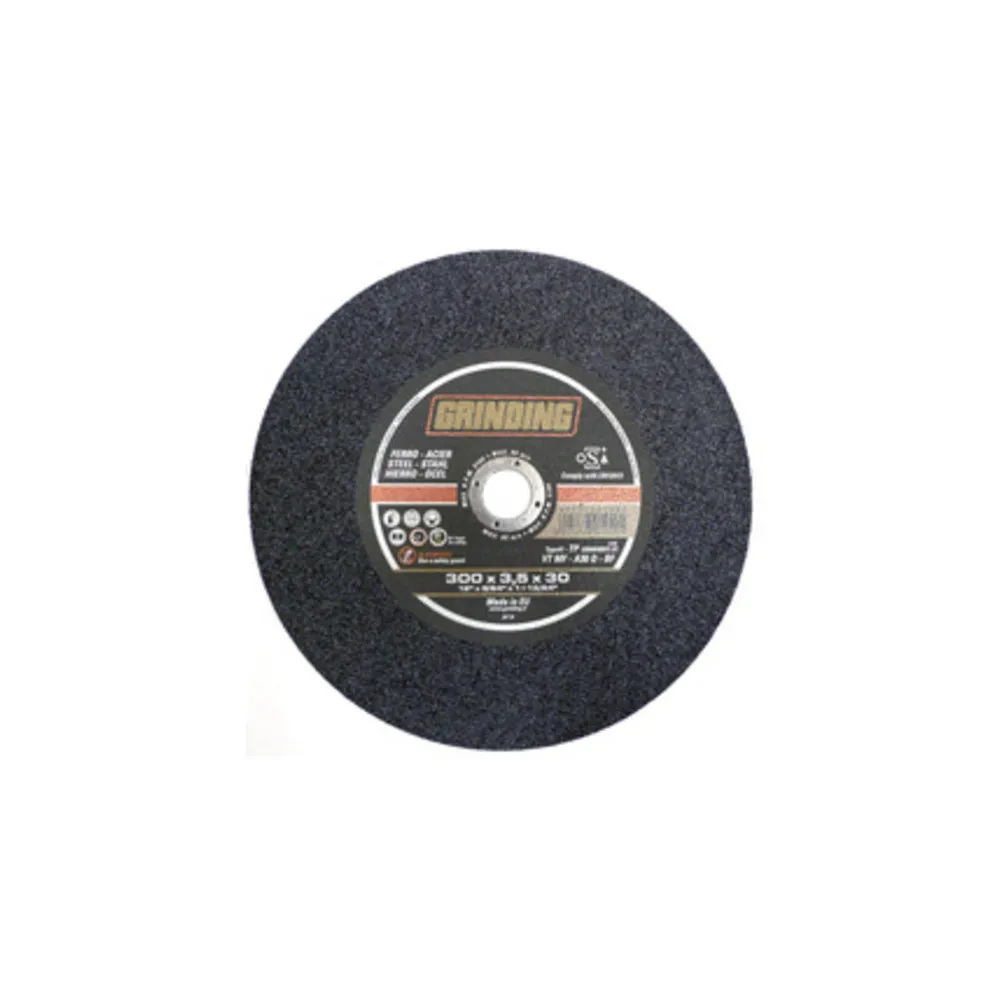 GRINDING DISCO TRONC. FERRO 300X3 GRINDING DISCO TRONC. FERRO 300X3