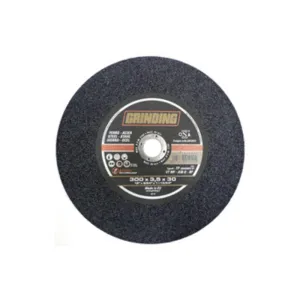 GRINDING DISCO TRONC. FERRO 300X3