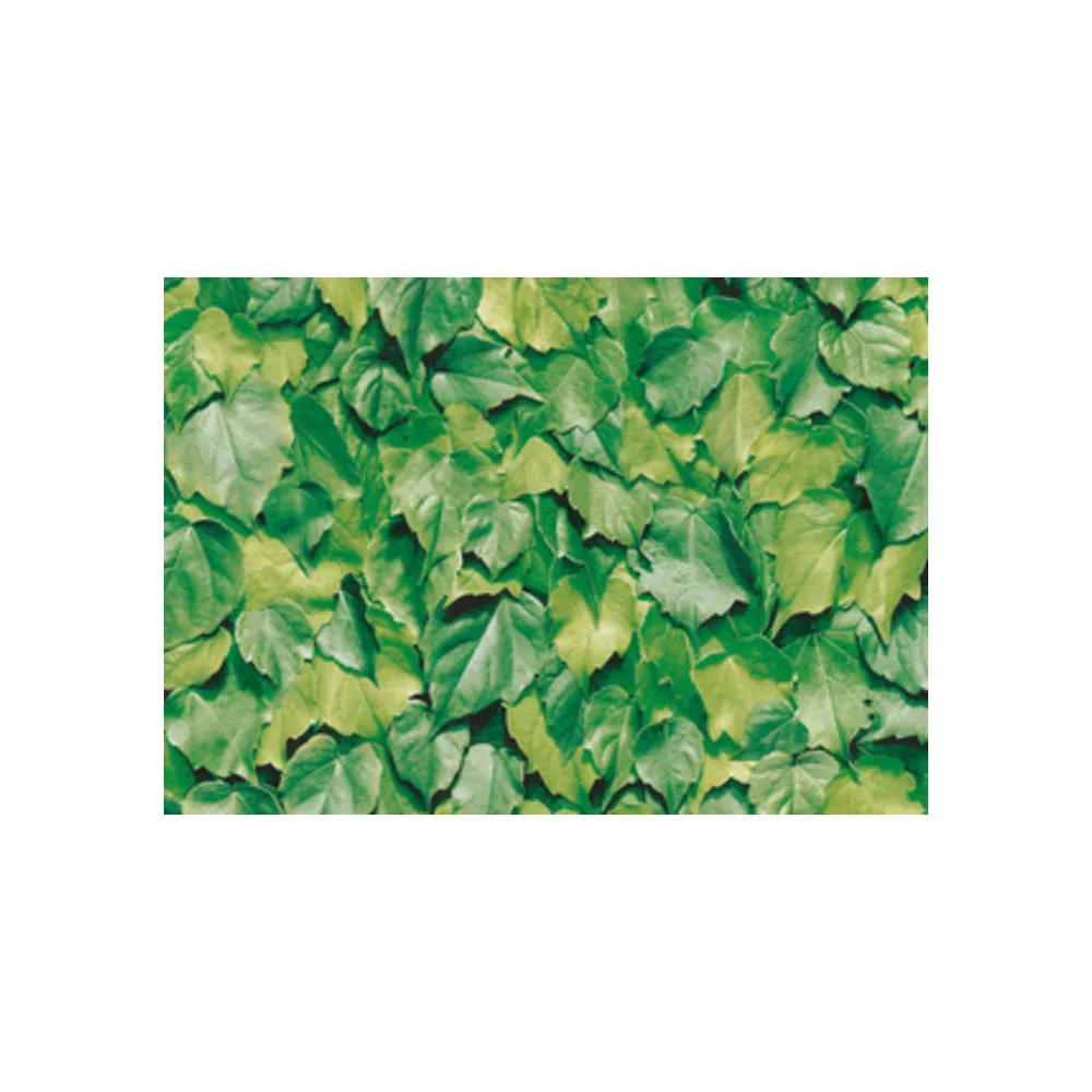 PLASTICA ADESIVA ALKOR 280.3170 FOGLIE VERDI 15 M PLASTICA ADESIVA ALKOR 280.3170 FOGLIE VERDI 15 M