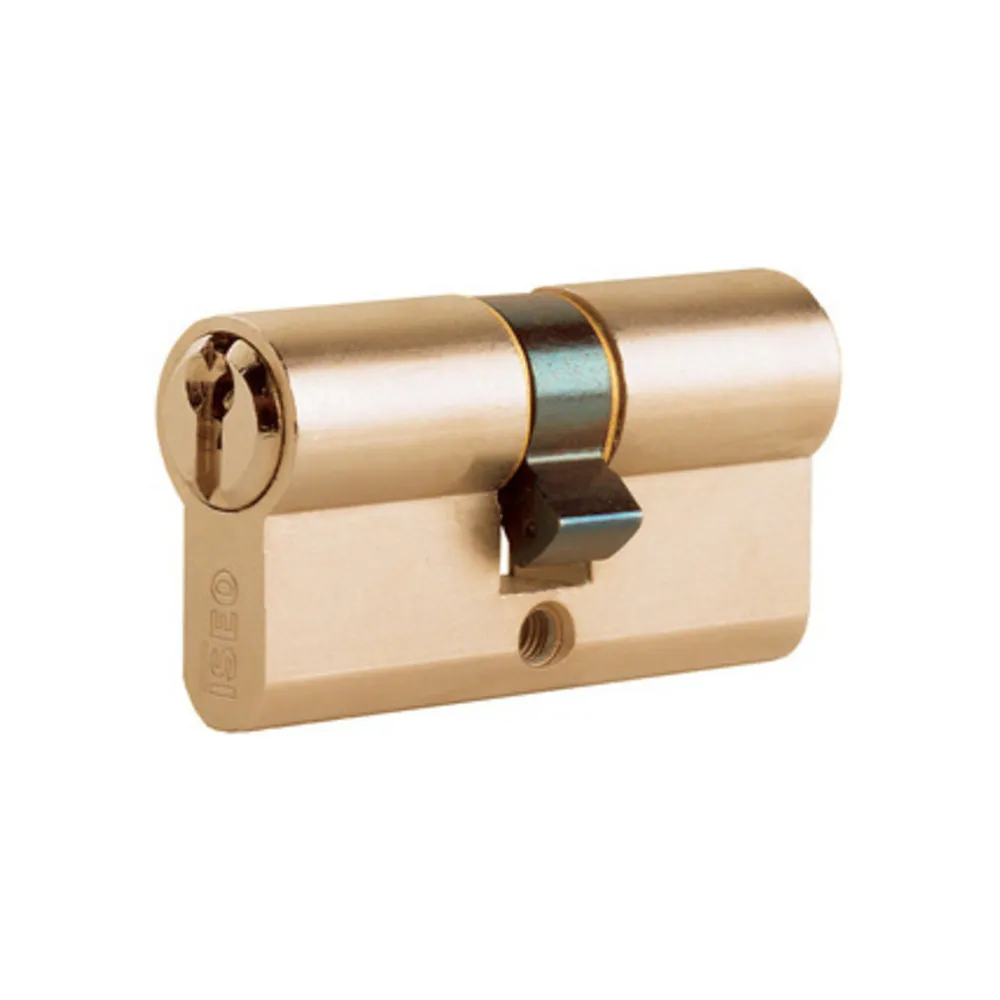 ISEO F5 8209 CILINDRO SAG. OTTONE 100 MM 45.10.45 (50-50) ISEO F5 8209 CILINDRO SAG. OTTONE 100 MM 45.10.45 (50-50)