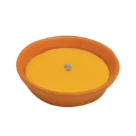 CITRONELLA IN COCCIO ANTIVENTO D 11 CM (53