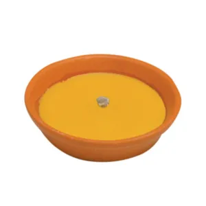 CITRONELLA IN COCCIO ANTIVENTO D 11 CM (53