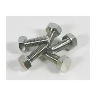 VITE FERMADISCO P/DECESPUGLIATORE 10X1