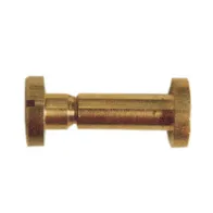 VITI A CANNOCCHIALE OTTONE D 6X60 MM (100