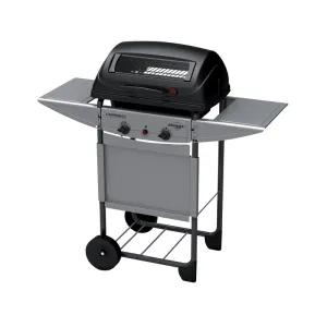 BARBECUE A PIETRA LAVICA EXPERT PLUS 7KW