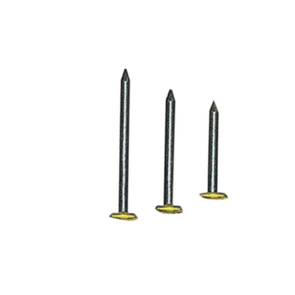 CHIODI P/QUADRI TESTA RICOP OTT 2X20 MM DA 100 PZ (10 CHIODI P/QUADRI TESTA RICOP OTT 2X20 MM DA 100 PZ (10