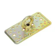 PIASTRA 862 CON OCCHIOLO ACC TROP 100X3