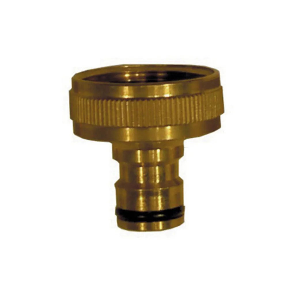 IRRIGO 8018 PRESA OTTONE 1 (20