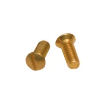 VITI OTTONE P/COPRINTERRUTTORE (50