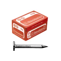 CHIODI TESTA PIANA LARGHISSIMA 17X25  CAVATORTA (5