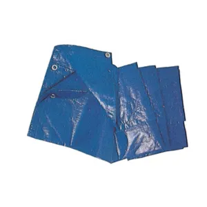 C TELO OCCHIELLATO PE 3 X 4M 85GR BLU
