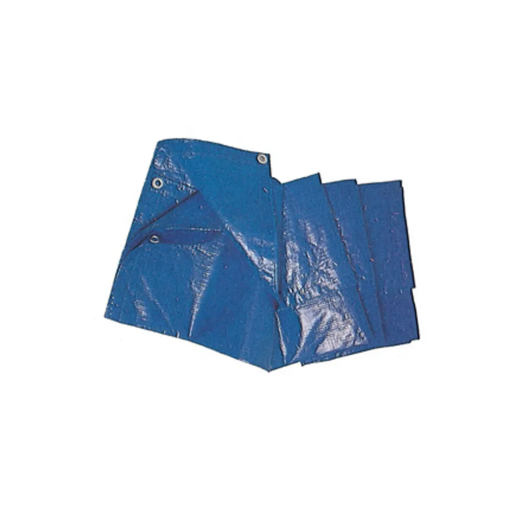 C TELO OCCHIELLATO PE 4 X 5M 85GR BLU