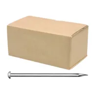 CHIODI ZINCATI FUOCO GARANZ. 20 ANNI 14X40  T. BOMB (5