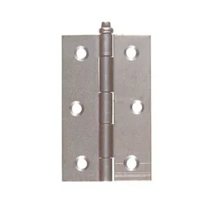 CERNIERA PERNO FISSO 125 FERRO LEGGERO 30X40 MM (50