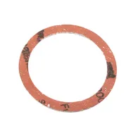 GUARNIZIONE P/RESISTENZA FILETTATA SCALDABAGNO** (100