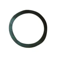 GUARNIZIONE P/RESISTENZA FLANGIATA SCALDABAGNO** (100