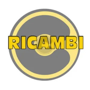 R CM 80/90 GUARNIZIONE FLANGIA AUT. ART.410281