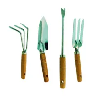 SET 4 ATTREZZINI DA GIARDINO MANICO LEGNO IMP19660 (6
