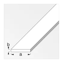 PROFILO BIANCO H.200 CM PIATTO 25X2 MM (5