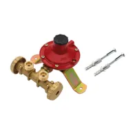 CENTRALINA P/GAS A 2 RUBIN  4 KG/H S/FLESS MIGN*