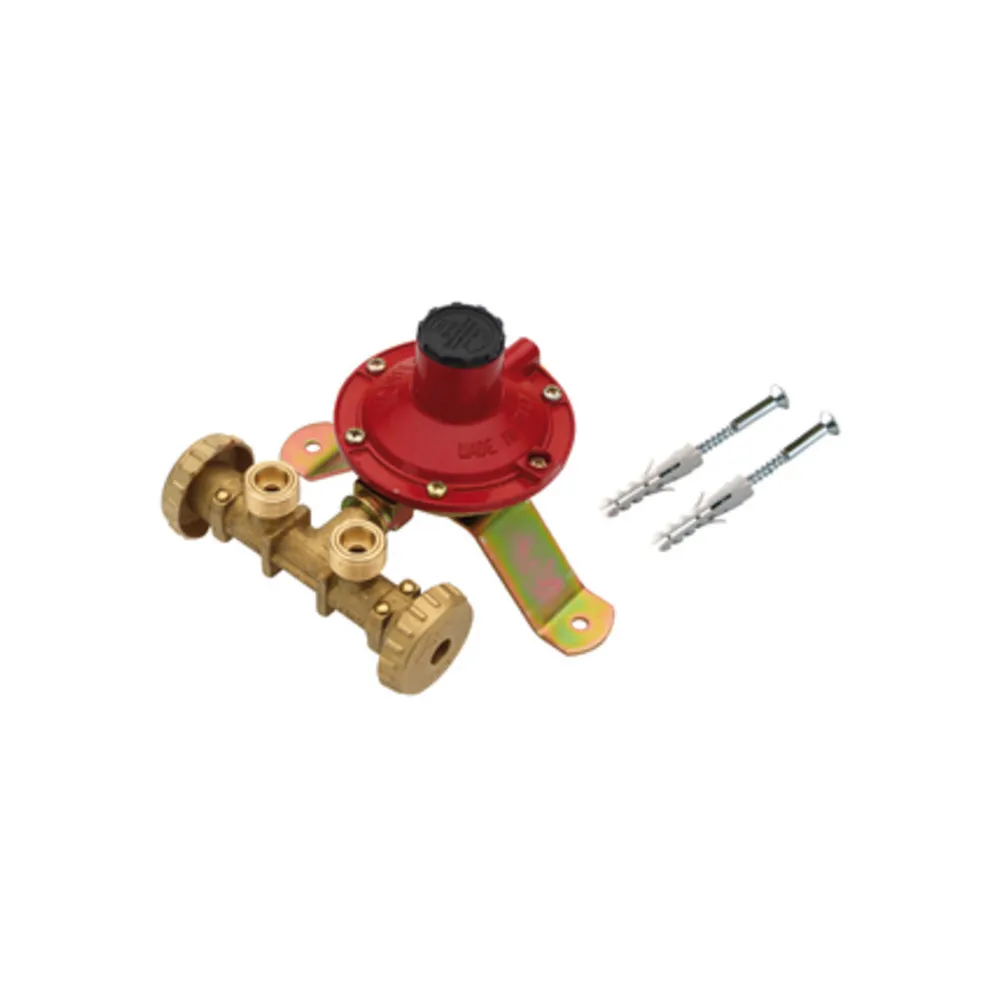 CENTRALINA P/GAS A 2 RUBIN  4 KG/H S/FLESS MIGN*