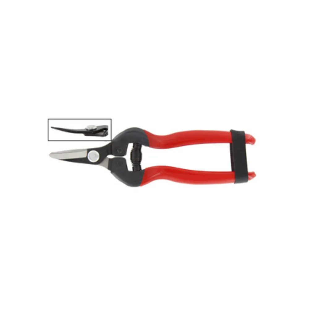 FORBICI P/UVA LAME CURVE PROF FORBICI P/UVA LAME CURVE PROF