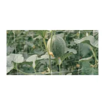 RETE P/RAMPICANTI H 2X 10 M BIANCO