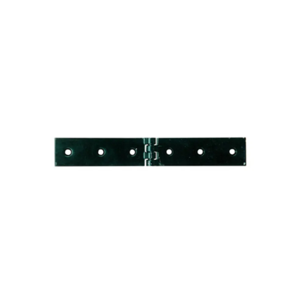 CERNIERA A LIBRETTO ACCIAIO P/CASSE 120 X 30 MM (12 CERNIERA A LIBRETTO ACCIAIO P/CASSE 120 X 30 MM (12
