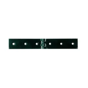 CERNIERA A LIBRETTO ACCIAIO P/CASSE 120 X 30 MM (12