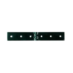 CERNIERA A LIBRETTO ACCIAIO P/CASSE 180 X 30 MM (12
