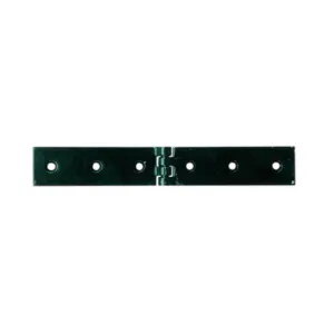 CERNIERA A LIBRETTO ACCIAIO P/CASSE 220 X 30 MM (12