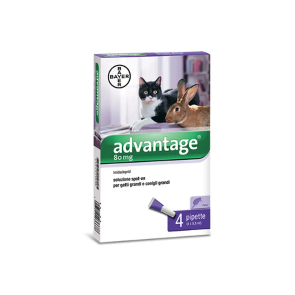 BAYER ADVANTAGE SPOT ON 80 GATTI OLTRE 4 KG BAYER ADVANTAGE SPOT ON 80 GATTI OLTRE 4 KG