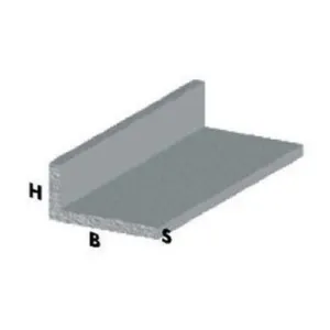 PROFILO ARGENTO H.100 CM ELLE 20X10X1 MM (5
