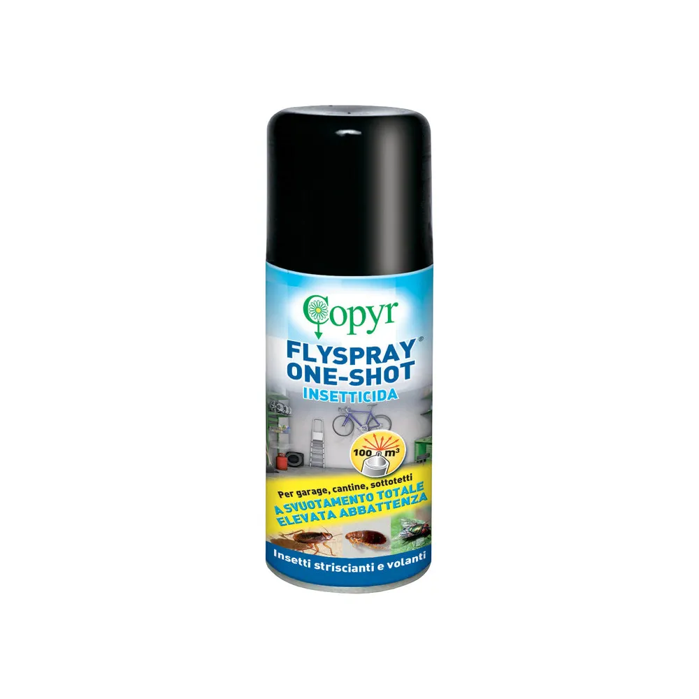 INSETTICIDA MULTIINSETTO BOMBOLA AUTOSVUOTANTE 150ML (15