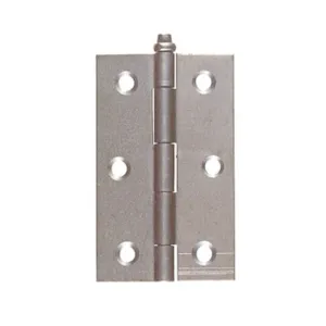 CERNIERA PERNO SFILABILE 88 FERRO LEGGERO 58X100 MM (25