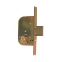 ISEO 605.35.0 SERRATURA CANCELLO 2 MAND CIL SFILAB (2