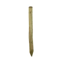 PALO PUNTA IN PINO IMPREGNATO D  6XH300 CM