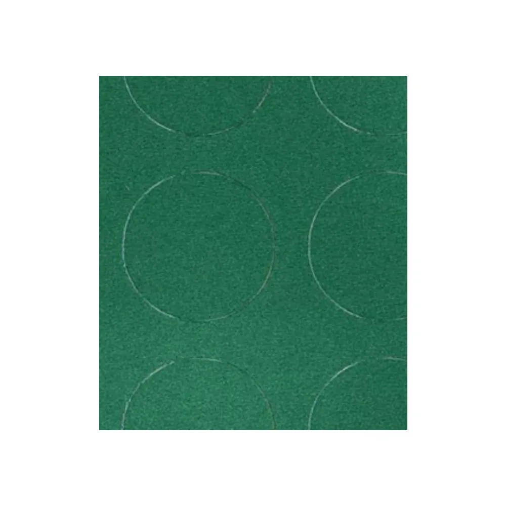 COPRIPAVIMENTO BOLFLEX H 100 VERDE CS002 (25