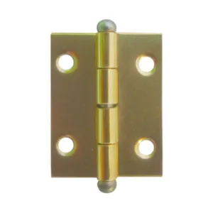 CERNIERA PERNO SFILABILE ACCIAIO OTT 20 X 30 MM** (50
