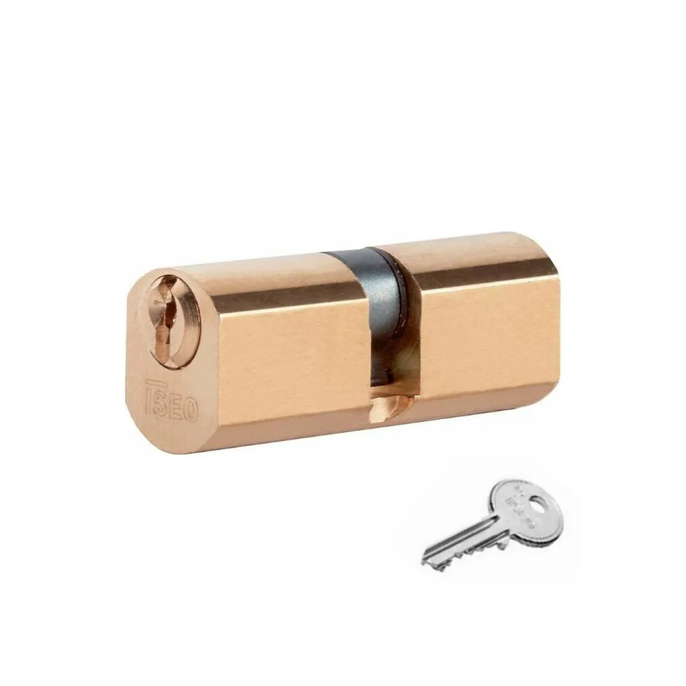 ISEO F5 8400 CILINDRO TONDO 54 MM (27+27) D.22