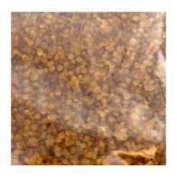 COLLA A PERLINE P/RESTAURO 25 KG